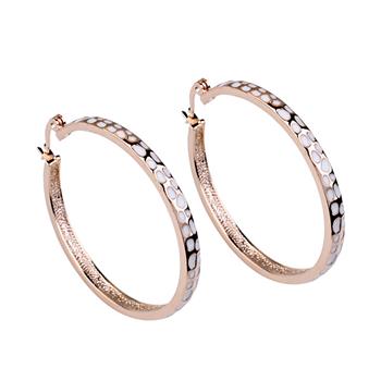 Fashion alloy earing with good quality  ...